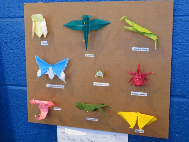 Big Moments from 23 Years of Homeschooling – Great and Noble Tasks